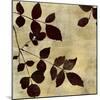 Leaf Study-Sloane Addison  -Mounted Art Print