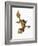 Leaf-tailed Gecko-Martin Harvey-Framed Photographic Print