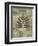 Leaf Textures I-Norman Wyatt Jr.-Framed Premium Giclee Print