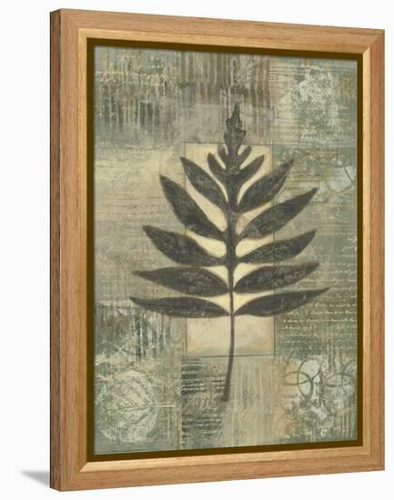 Leaf Textures I-Norman Wyatt Jr.-Framed Stretched Canvas