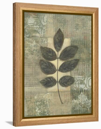 Leaf Textures II-Norman Wyatt Jr.-Framed Stretched Canvas