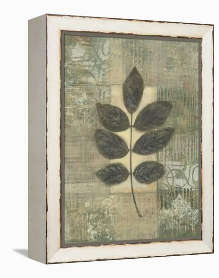 Leaf Textures II-Norman Wyatt Jr.-Framed Stretched Canvas