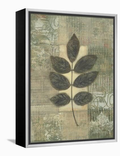 Leaf Textures II-Norman Wyatt Jr.-Framed Stretched Canvas