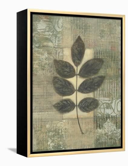 Leaf Textures II-Norman Wyatt Jr.-Framed Stretched Canvas