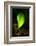 Leaf-Ursula Abresch-Framed Photographic Print