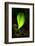 Leaf-Ursula Abresch-Framed Photographic Print