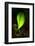 Leaf-Ursula Abresch-Framed Photographic Print