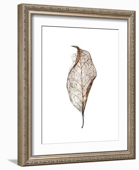 Leaf-Design Fabrikken-Framed Photographic Print