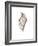 Leaf-Design Fabrikken-Framed Photographic Print