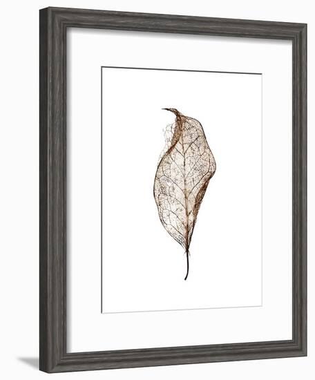 Leaf-Design Fabrikken-Framed Photographic Print