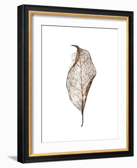 Leaf-Design Fabrikken-Framed Photographic Print