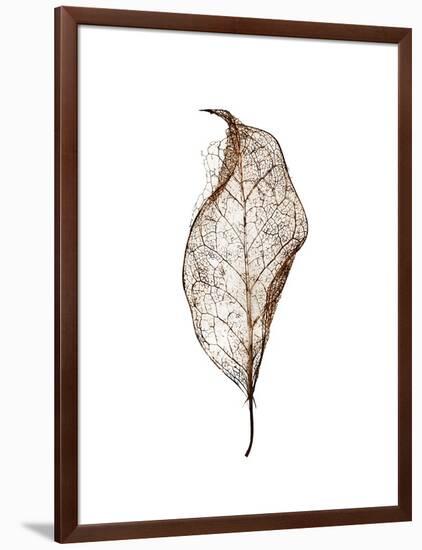 Leaf-Design Fabrikken-Framed Photographic Print