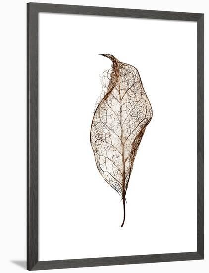 Leaf-Design Fabrikken-Framed Photographic Print