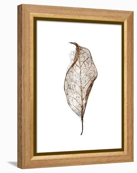Leaf-Design Fabrikken-Framed Premier Image Canvas