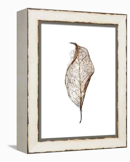 Leaf-Design Fabrikken-Framed Premier Image Canvas