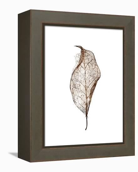 Leaf-Design Fabrikken-Framed Premier Image Canvas