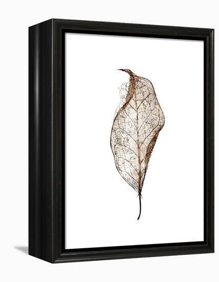 Leaf-Design Fabrikken-Framed Premier Image Canvas