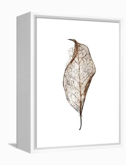 Leaf-Design Fabrikken-Framed Premier Image Canvas