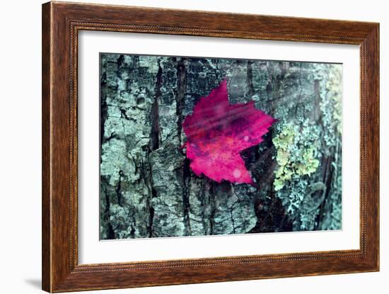 Leaf-Mark Ashkenazi-Framed Giclee Print