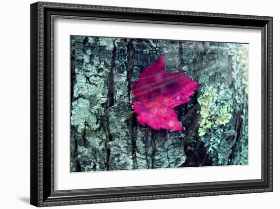 Leaf-Mark Ashkenazi-Framed Giclee Print