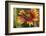 Leafcutter bee feeding on Indian Blanket, Texas, USA-Rolf Nussbaumer-Framed Photographic Print