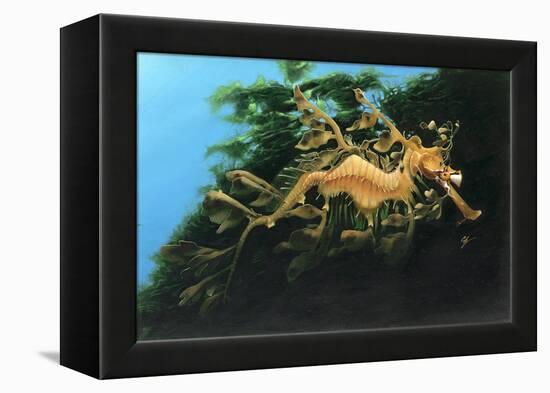 Leafly Sea Dragon-Durwood Coffey-Framed Premier Image Canvas