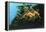 Leafly Sea Dragon-Durwood Coffey-Framed Premier Image Canvas