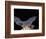 Leafnosed Fruit Bat, Arizona, USA-Alice Garland-Framed Photographic Print