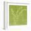Leafy Green10-null-Framed Art Print