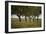 Leafy Trees in an Unmown Field-Rainer Schoditsch-Framed Photographic Print