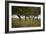 Leafy Trees in an Unmown Field-Rainer Schoditsch-Framed Photographic Print