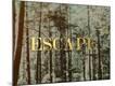 Premium Giclee Print