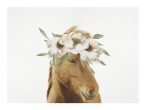 Floral Horse-Leah Straastma-Art Print