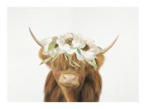 Highland Cow-Leah Straastma-Art Print