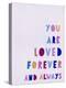 Stretched Canvas Print