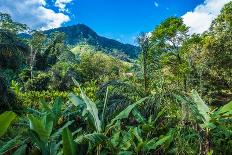 Lush Primeval Forests, Ranomafana (Hot Water in Malagasy) National Park, Madagascar-Leamus-Premier Image Canvas