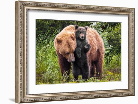 Lean on Me (Brown Bear and Cub)-Art Wolfe-Framed Giclee Print