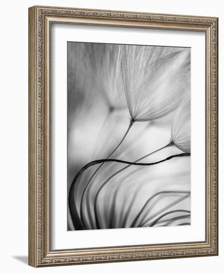 Lean on Me-Keren Or-Framed Photographic Print