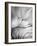 Lean on Me-Keren Or-Framed Photographic Print