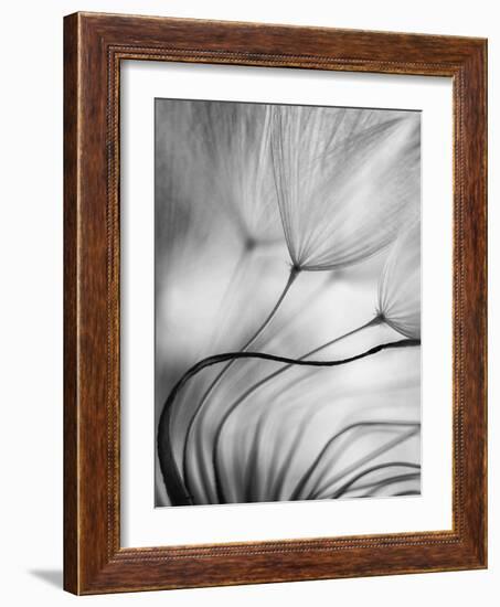 Lean on Me-Keren Or-Framed Photographic Print