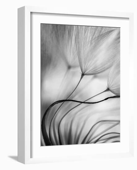 Lean on Me-Keren Or-Framed Photographic Print