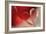 Lean on Your Heart-Heidi Westum-Framed Photographic Print