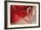 Lean on Your Heart-Heidi Westum-Framed Photographic Print