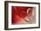 Lean on Your Heart-Heidi Westum-Framed Premium Photographic Print