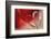 Lean on Your Heart-Heidi Westum-Framed Photographic Print