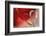 Lean on Your Heart-Heidi Westum-Framed Photographic Print