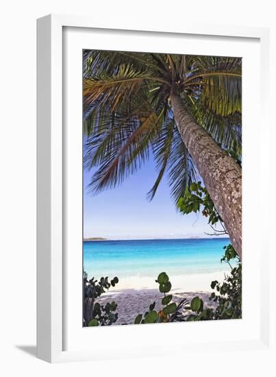 Leaning Palm, Trunk Bay, US Virgin Islands-George Oze-Framed Photographic Print