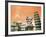 Leaning Tower of Pisa, Italy-Bill Bachmann-Framed Photographic Print