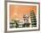 Leaning Tower of Pisa, Italy-Bill Bachmann-Framed Photographic Print