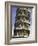 Leaning Tower of Pisa-Danny Lehman-Framed Photographic Print